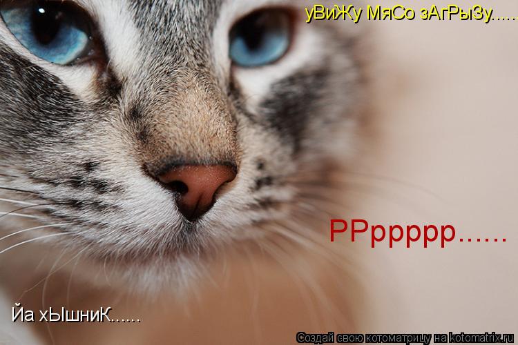 Йа хЫшниК...... уВиЖу МяСо зАгРыЗу........ РРррррр......... Котоматрица: Йа хЫшниК...... уВиЖу МяСо зАгРыЗу........ РРррррр......