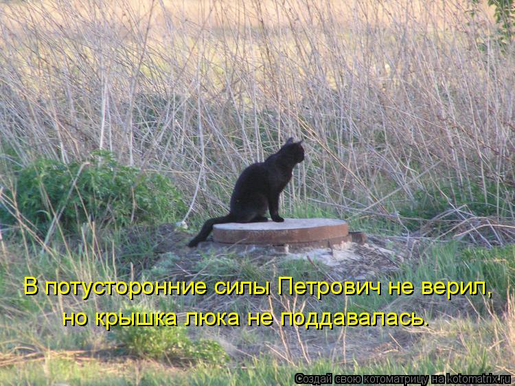 В потусторонние силы Петрович не верил, но крышка люка не поддавалась.... Котоматрица: В потусторонние силы Петрович не верил, но крышка люка не поддавалась.