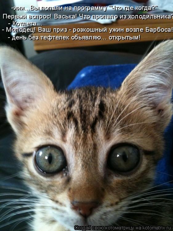 -иии...Вы попали на программу "Что где когда?" Первый вопрос! Васька! Что пропало из холодильника? - ... Котоматрица: -иии...Вы попали на программу "Что где когда?" Первый вопрос! Васька! Что пропало из холодильника? - Котлета... - Молодец! Ваш приз - розкошный ужи