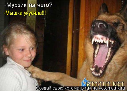 -Мурзик ты чего? -Mышка укусила!!!... Котоматрица: -Мурзик ты чего? -Mышка укусила!!!