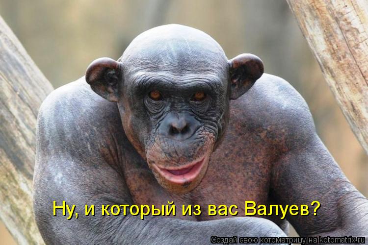 Ну, и который из вас Валуев?... Котоматрица: Ну, и который из вас Валуев?