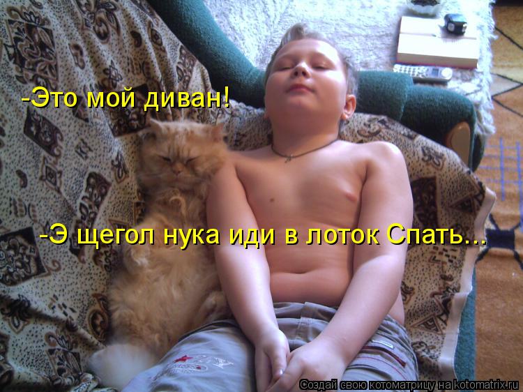 -Э щегол нука иди в лоток Спать... -Это мой диван!... Котоматрица: -Э щегол нука иди в лоток Спать... -Это мой диван!