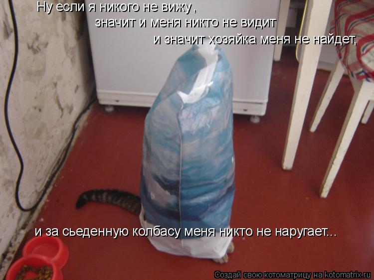 Ну если я никого не вижу , значит и меня никто не видит и значит хозяйка меня не найдет, и за сьеденн... Котоматрица: Ну если я никого не вижу , значит и меня никто не видит и значит хозяйка меня не найдет, и за сьеденную колбасу меня никто не наругает...
