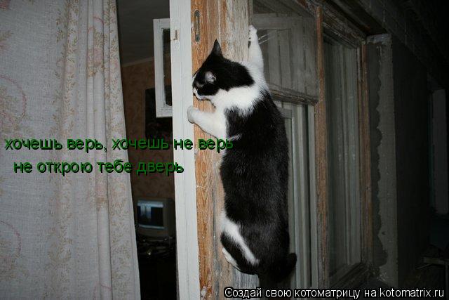 хочешь верь, хочешь не верь не открою тебе дверь... Котоматрица: хочешь верь, хочешь не верь не открою тебе дверь