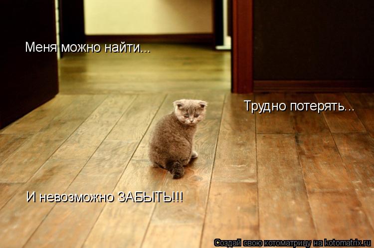 Меня можно найти... Трудно потерять... И невозможно ЗАБЫТЬ!!!... Котоматрица: Меня можно найти... Трудно потерять... И невозможно ЗАБЫТЬ!!!