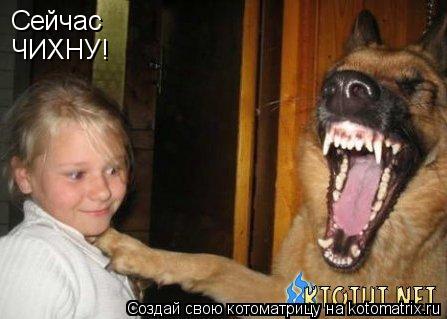 Сейчас ЧИХНУ!... Котоматрица: Сейчас ЧИХНУ!
