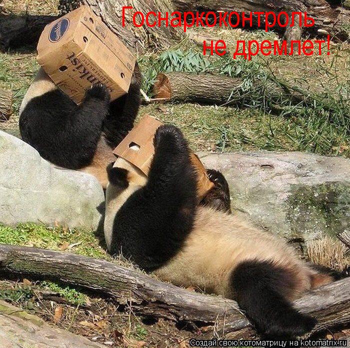 Госнаркоконтроль не дремлет!... Котоматрица: Госнаркоконтроль не дремлет!