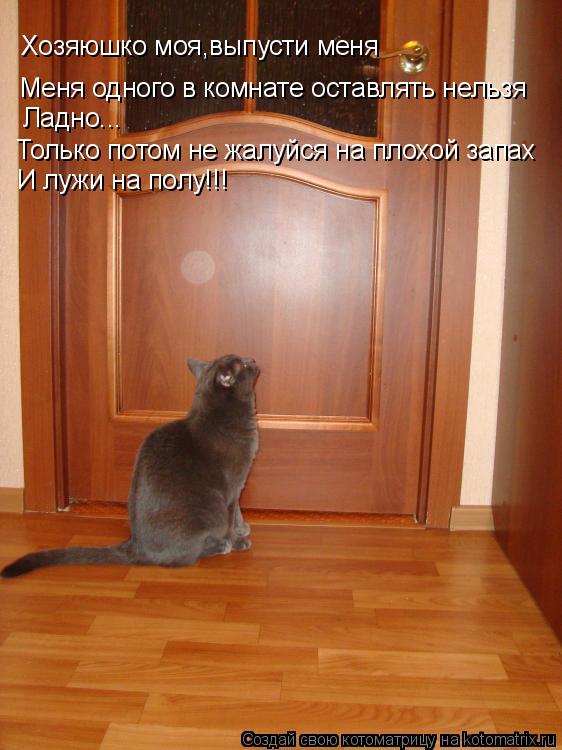 Меня одного в комнате оставлять нельзя Ладно... Только потом не жалуйся на плохой запах Хозяюшко моя,... Котоматрица: Меня одного в комнате оставлять нельзя Ладно... Только потом не жалуйся на плохой запах Хозяюшко моя,выпусти меня И лужи на полу!!!