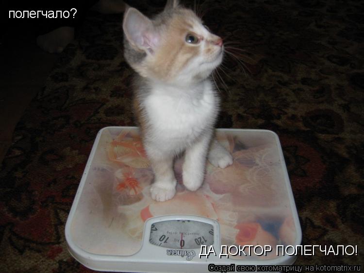 полегчало? ДА ДОКТОР ПОЛЕГЧАЛО!... Котоматрица: полегчало? ДА ДОКТОР ПОЛЕГЧАЛО!