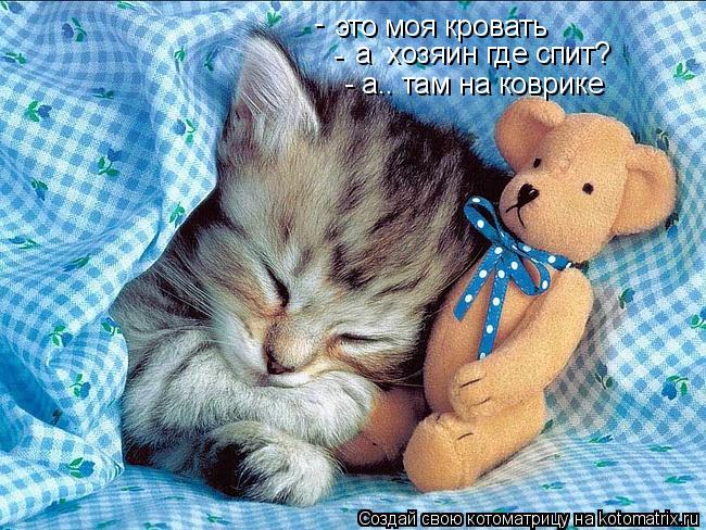 это моя кровать - - а хозяин где спит? - а.. там на коврике... Котоматрица: это моя кровать - - а хозяин где спит? - а.. там на коврике