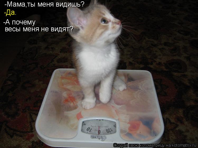 -Мама,ты меня видишь? -Да. -А почему весы меня не видят?... Котоматрица: -Мама,ты меня видишь? -Да. -А почему весы меня не видят?