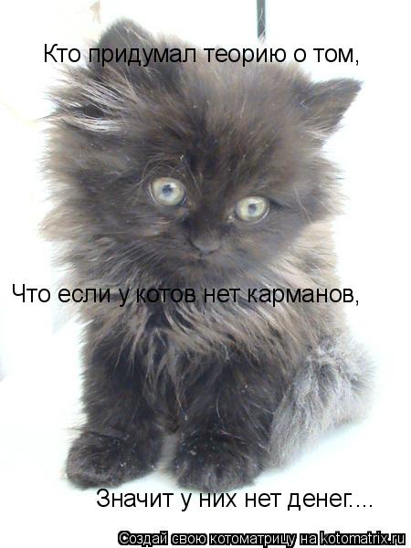 Кто придумал теорию о том, Что если у котов нет карманов, Значит у них нет денег....... Котоматрица: Кто придумал теорию о том, Что если у котов нет карманов, Значит у них нет денег....