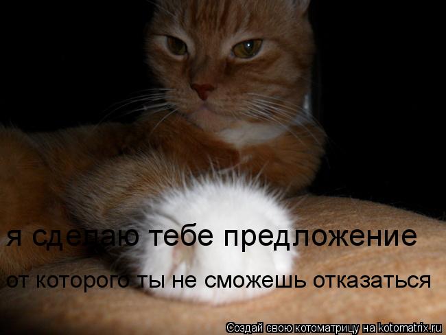 я сделаю тебе предложение от которого ты не сможешь отказаться... Котоматрица: я сделаю тебе предложение от которого ты не сможешь отказаться