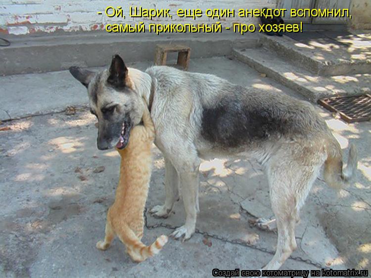 - Ой, Шарик, еще один анекдот вспомнил, самый прикольный - про хозяев!... Котоматрица: - Ой, Шарик, еще один анекдот вспомнил, самый прикольный - про хозяев!