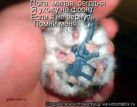 Если я не вернусь Пока, милая, сегодня Я ухожу на фронт. Помни меня.... Котоматрица: Если я не вернусь Пока, милая, сегодня Я ухожу на фронт. Помни меня.