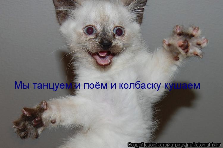Мы танцуем и поём и колбаску кушаем... Котоматрица: Мы танцуем и поём и колбаску кушаем