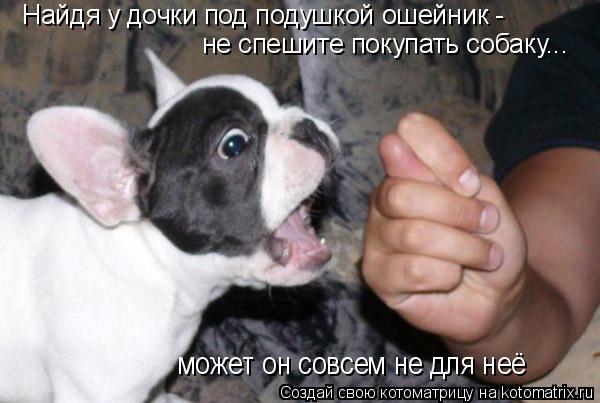 Найдя у дочки под подушкой ошейник - не спешите покупать собаку... может он совсем не для неё... Котоматрица: Найдя у дочки под подушкой ошейник - не спешите покупать собаку... может он совсем не для неё