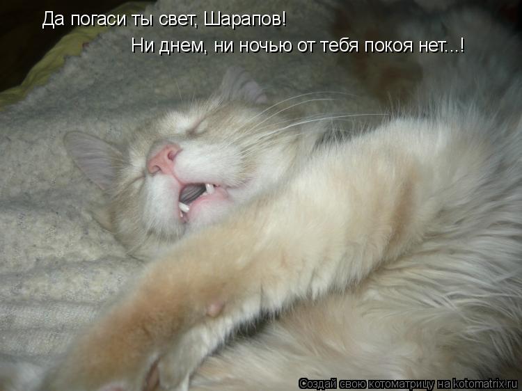Да погаси ты свет, Шарапов! Ни днем, ни ночью от тебя покоя нет...!... Котоматрица: Да погаси ты свет, Шарапов! Ни днем, ни ночью от тебя покоя нет...!