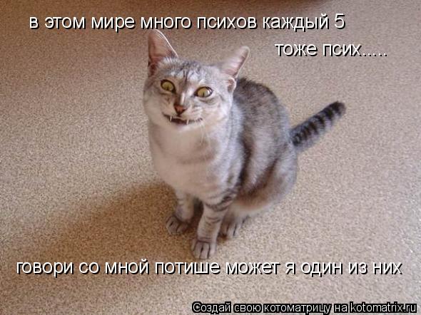 в этом мире много психов каждый 5 тоже псих..... говори со мной потише может я один из них... Котоматрица: в этом мире много психов каждый 5 тоже псих..... говори со мной потише может я один из них