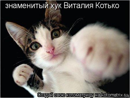 знаменитый хук Виталия Котько... Котоматрица: знаменитый хук Виталия Котько