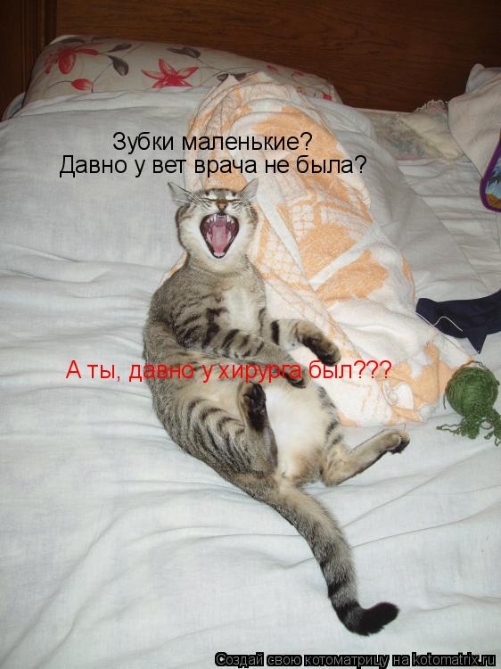 Зубки маленькие? Давно у вет врача не была? А ты, давно у хирурга был???... Котоматрица: Зубки маленькие? Давно у вет врача не была? А ты, давно у хирурга был???