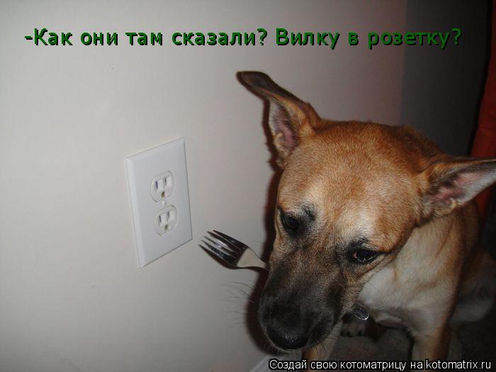 -Как они там сказали? Вилку в розетку?... Котоматрица: -Как они там сказали? Вилку в розетку?