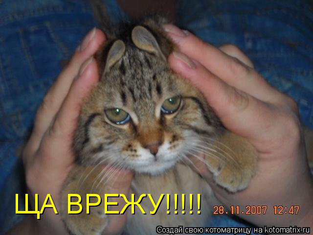 ЩА ВРЕЖУ!!!!!... Котоматрица: ЩА ВРЕЖУ!!!!!