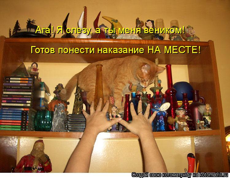 Котоматрица: Ага! Я слезу, а ты меня веником! Готов понести наказание НА МЕСТЕ!