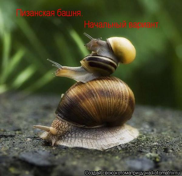 Пизанская башня. Начальный вариант.... Котоматрица: Пизанская башня. Начальный вариант.