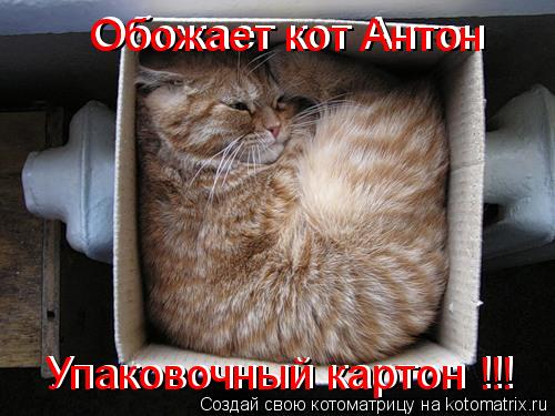 Упаковочный картон !!! Упаковочный картон !!! Обожает кот Антон Обожает кот Антон... Котоматрица: Упаковочный картон !!! Упаковочный картон !!! Обожает кот Антон Обожает кот Антон