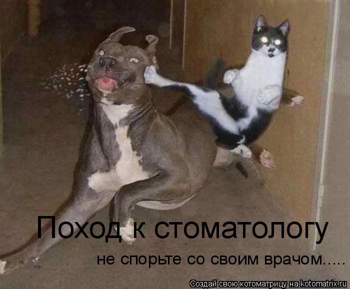 Котоматрица: Поход к стоматологу не спорьте со своим врачом.....