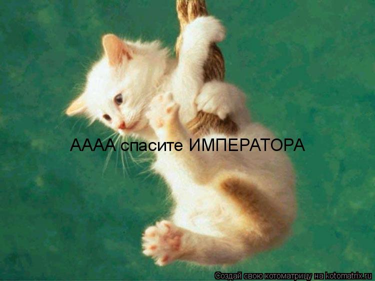 Котоматрица: АААА спасите ИМПЕРАТОРА