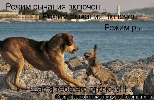 Котоматрица: Режим рычания включен... Режим рычания включен... Режим ры... - Щас я тебе его отключу!!!...