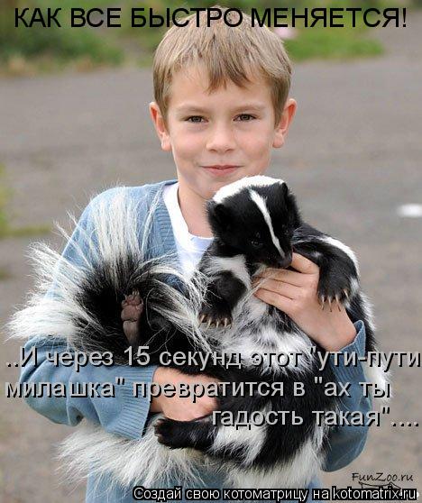 Котоматрица: милашка" превратится в "ах ты гадость такая".... КАК ВСЕ БЫСТРО МЕНЯЕТСЯ! ..И через 15 секунд этот "ути-пути