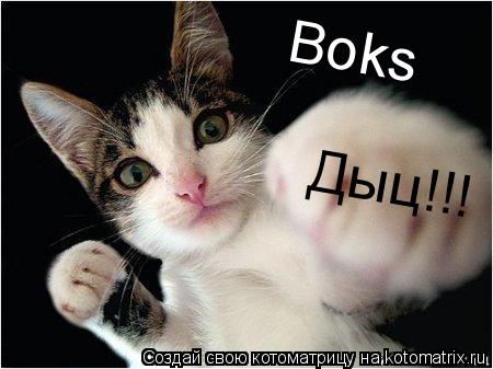 Дыц!!! Boks... Котоматрица: Дыц!!! Boks