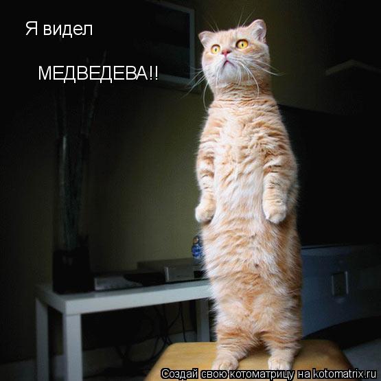 Я видел МЕДВЕДЕВА!!... Котоматрица: Я видел МЕДВЕДЕВА!!