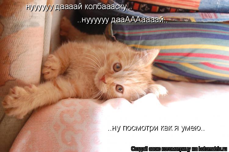 нуууууу даааай колбаааску... ..нуууууу дааАААаааай.. ..ну посмотри как я умею..... Котоматрица: нуууууу даааай колбаааску... ..нуууууу дааАААаааай.. ..ну посмотри как я умею..
