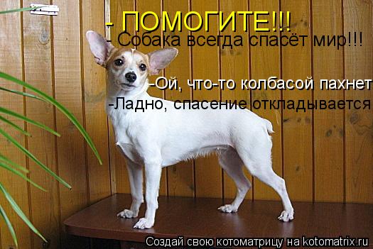 - Собака всегда спасёт мир!!! - ПОМОГИТЕ!!! -Ой, что-то колбасой пахнет -Ладно, спасение откладываетс... Котоматрица: - Собака всегда спасёт мир!!! - ПОМОГИТЕ!!! -Ой, что-то колбасой пахнет -Ладно, спасение откладывается
