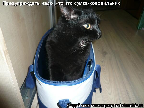 Предупреждать надо ,что это сумка-холодильник... Котоматрица: Предупреждать надо ,что это сумка-холодильник