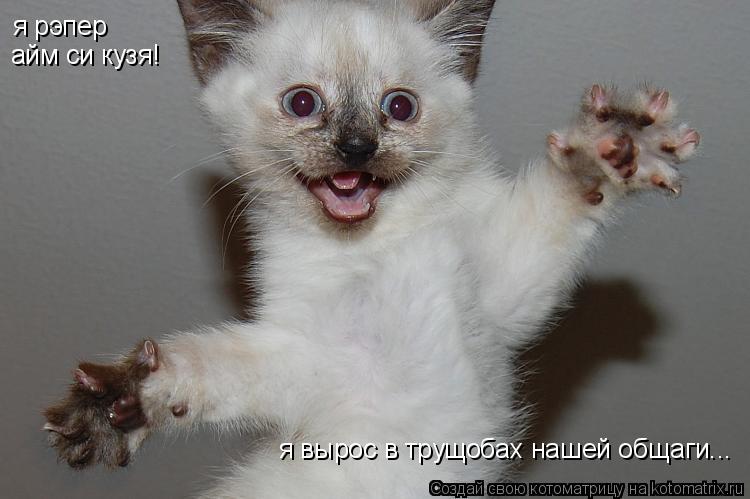 я рэпер айм си кузя! я вырос в трущобах нашей общаги...... Котоматрица: я рэпер айм си кузя! я вырос в трущобах нашей общаги...