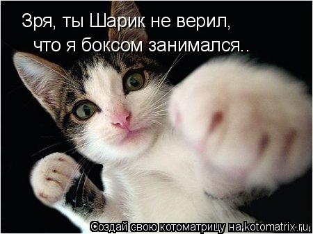 Зря, ты Шарик не верил, что я боксом занимался..... Котоматрица: Зря, ты Шарик не верил, что я боксом занимался..