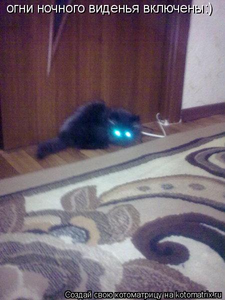 огни ночного виденья включены:)... Котоматрица: огни ночного виденья включены:)