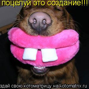 поцелуй это создание!!!... Котоматрица: поцелуй это создание!!!