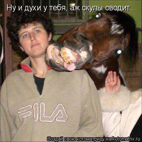 Ну и духи у тебя, аж скулы сводит..... Котоматрица: Ну и духи у тебя, аж скулы сводит..