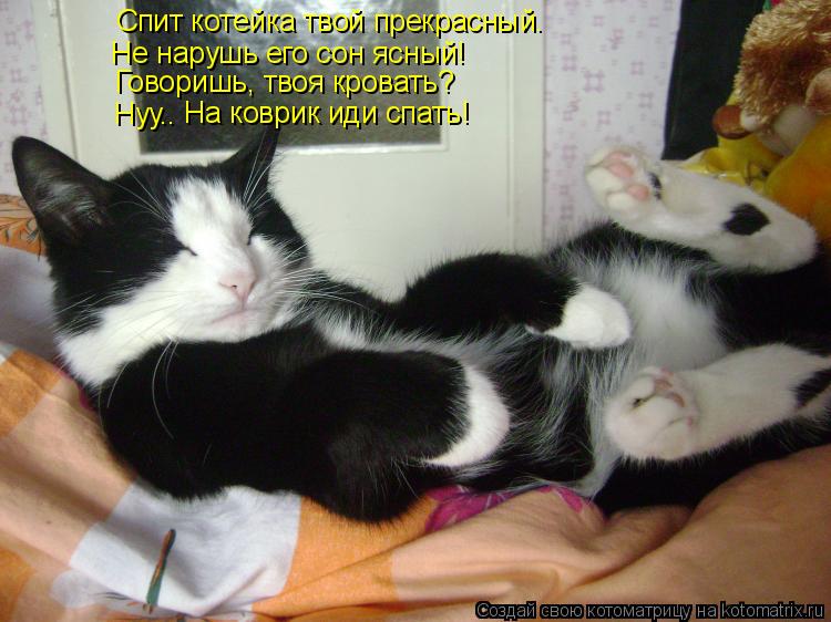 Не нарушь его сон ясный! Говоришь, твоя кровать? Нуу.. На коврик иди спать! Спит котейка твой прекрас... Котоматрица: Не нарушь его сон ясный! Говоришь, твоя кровать? Нуу.. На коврик иди спать! Спит котейка твой прекрасный.
