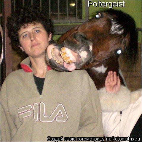 Poltergeist... Котоматрица: Poltergeist