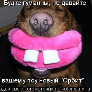 Будте гуманны, не давайте вашему псу новый "Орбит"... Котоматрица: Будте гуманны, не давайте вашему псу новый "Орбит"