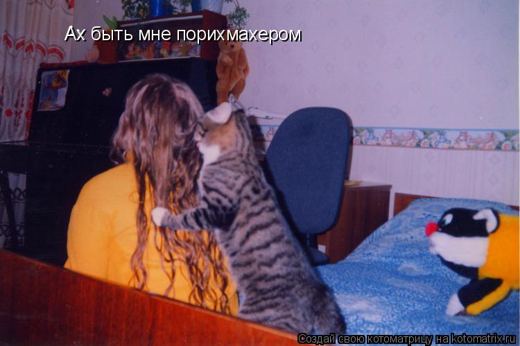 Ах Ах быть мне порихмахером... Котоматрица: Ах Ах быть мне порихмахером