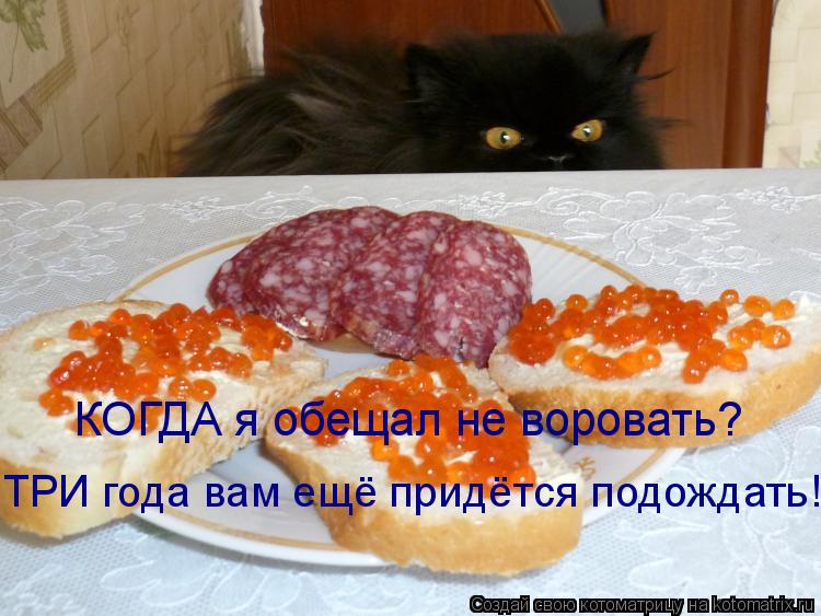 Котоматрица: КОГДА я обещал не воровать? ТРИ года вам ещё придётся подождать!