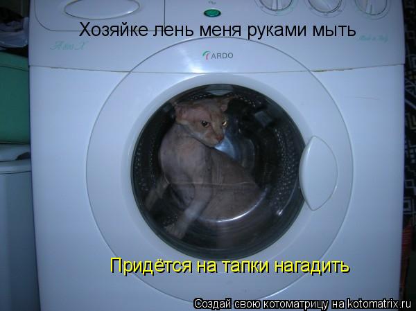 Хозяйке лень меня руками мыть Придётся на тапки нагадить... Котоматрица: Хозяйке лень меня руками мыть Придётся на тапки нагадить